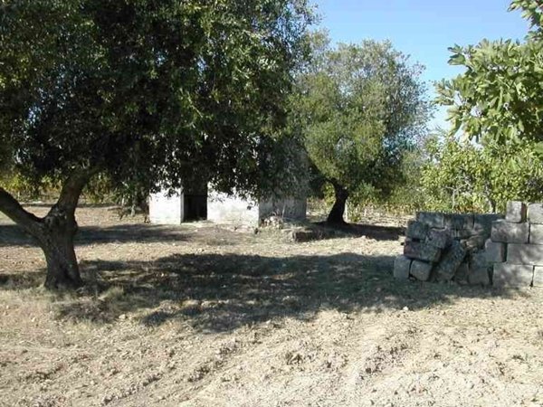 terreno in vendita a Crispiano