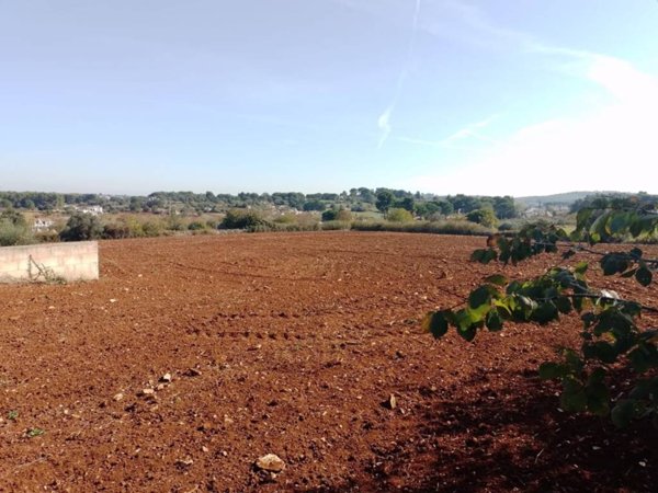 casa indipendente in vendita a Faggiano