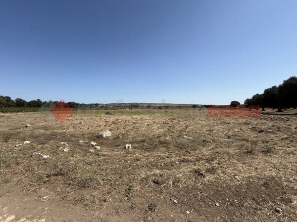 terreno agricolo in vendita a Faggiano