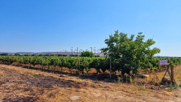 terreno agricolo in vendita a Faggiano in zona San Crispieri