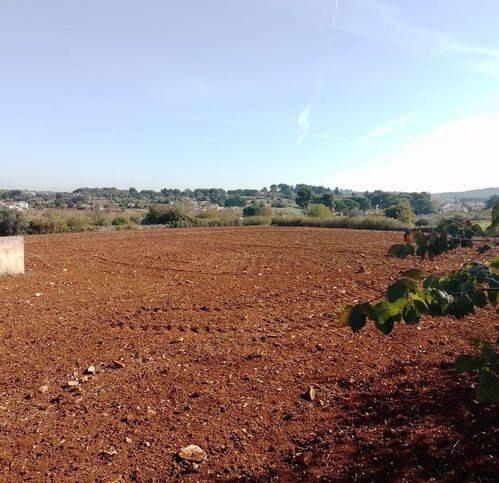 casa indipendente in vendita a Faggiano