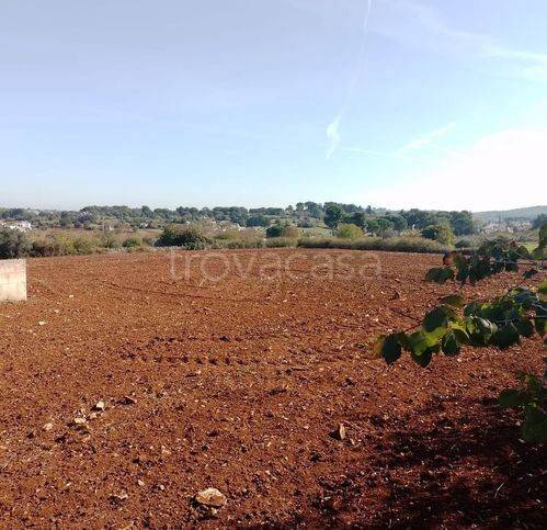 casa indipendente in vendita a Faggiano