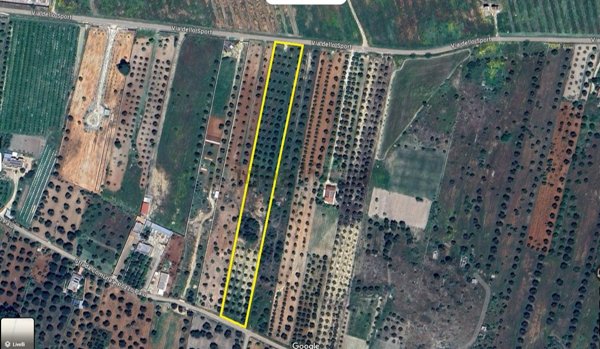 terreno agricolo in vendita a Fragagnano