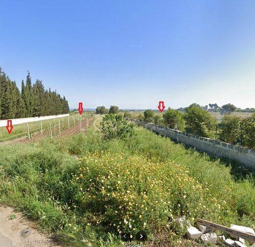 terreno agricolo in vendita a Fragagnano