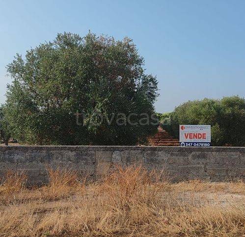 terreno agricolo in vendita a Fragagnano