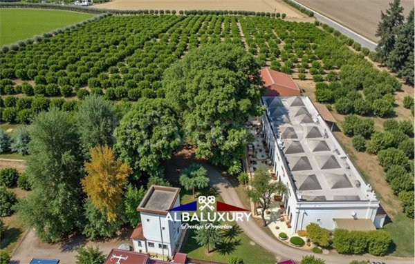 casa indipendente in vendita a Ginosa