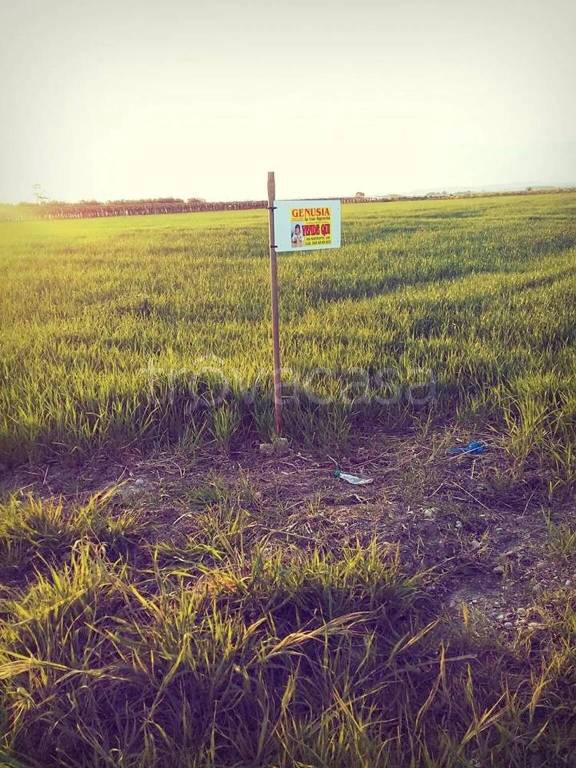 terreno agricolo in vendita a Ginosa in zona Marina di Ginosa
