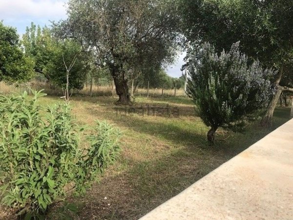 casa indipendente in vendita a Ginosa