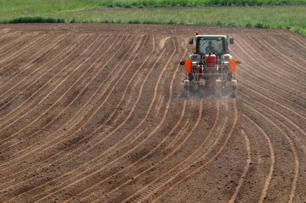 terreno agricolo in vendita a Ginosa