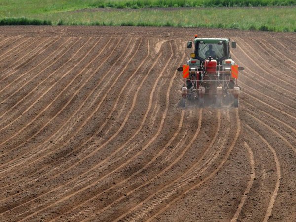 terreno agricolo in vendita a Ginosa