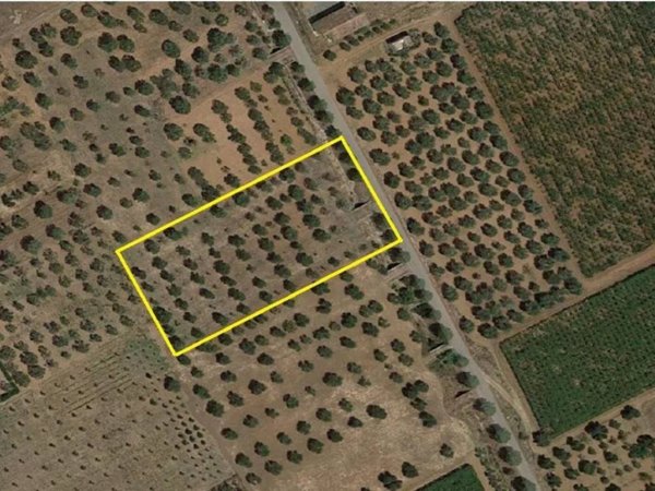 terreno agricolo in vendita a Ginosa