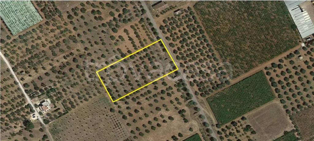 terreno agricolo in vendita a Ginosa