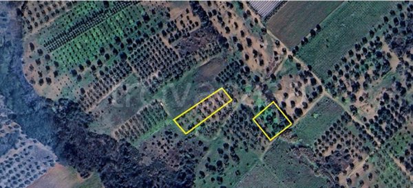 terreno agricolo in vendita a Ginosa