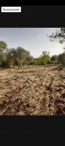 terreno agricolo in vendita a Ginosa