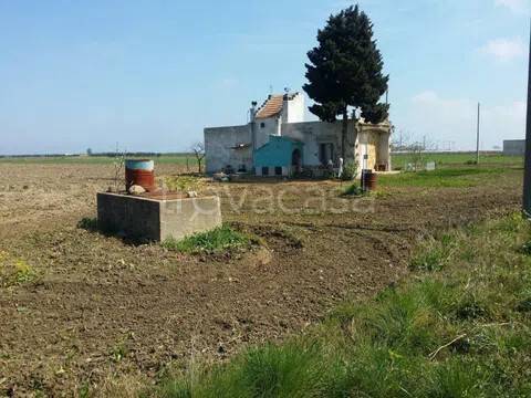 terreno agricolo in vendita a Ginosa