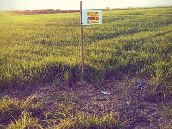 terreno in vendita a Ginosa in zona Marina di Ginosa