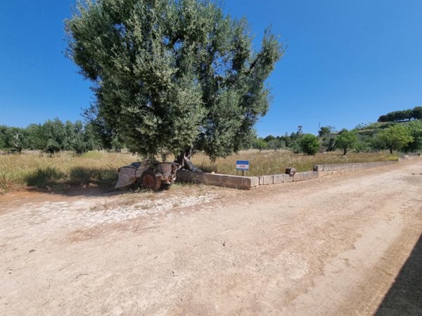 terreno agricolo in vendita a Grottaglie
