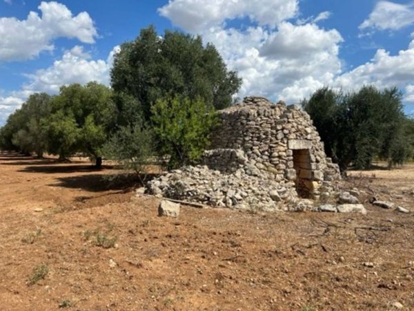 terreno agricolo in vendita a Grottaglie