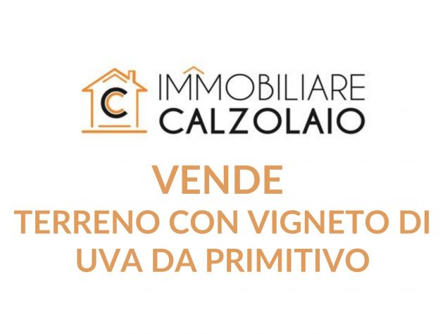 terreno agricolo in vendita a Grottaglie