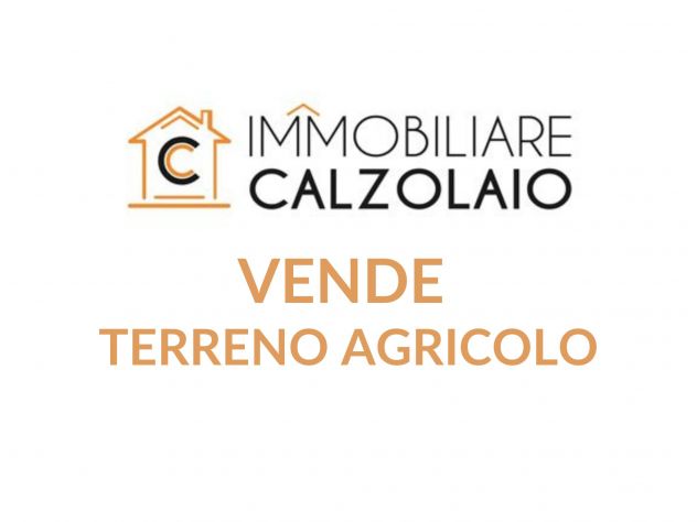 terreno agricolo in vendita a Grottaglie