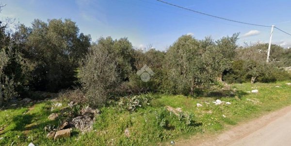 terreno agricolo in vendita a Grottaglie