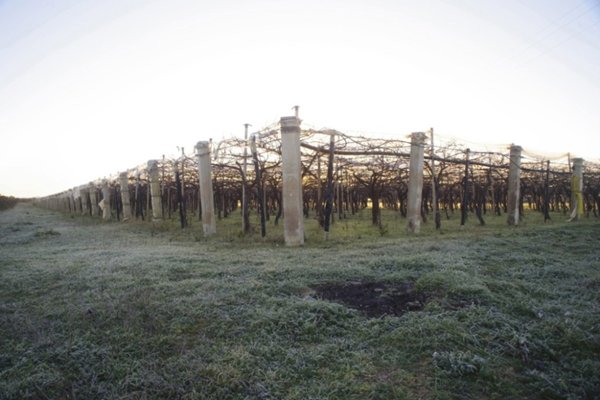 terreno agricolo in vendita a Grottaglie