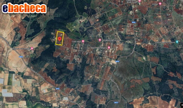 terreno agricolo in vendita a Grottaglie