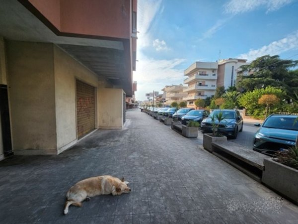 locale commerciale in vendita a Grottaglie