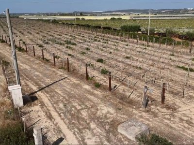 terreno agricolo in vendita a Grottaglie