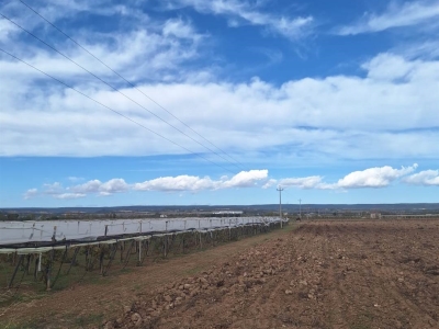 terreno agricolo in vendita a Grottaglie