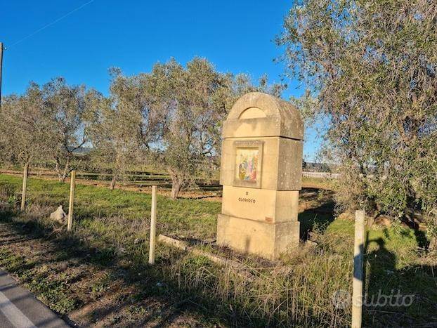 terreno agricolo in vendita a Grottaglie