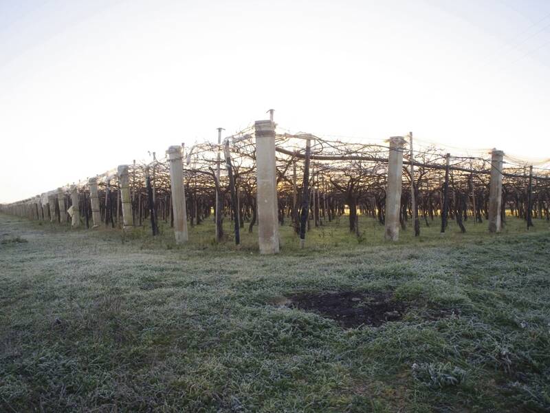 terreno agricolo in vendita a Grottaglie