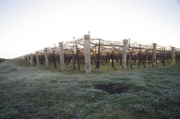 terreno agricolo in vendita a Grottaglie in zona Paparazio