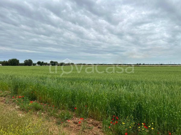 terreno agricolo in vendita a Grottaglie