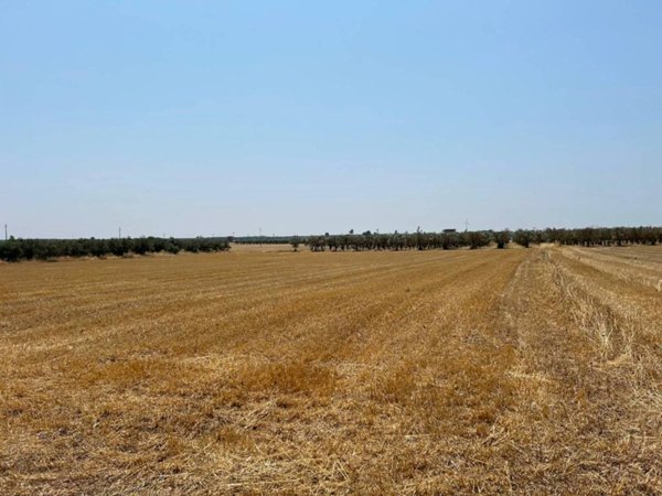 terreno agricolo in vendita a Grottaglie