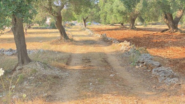 appartamento in vendita a Grottaglie