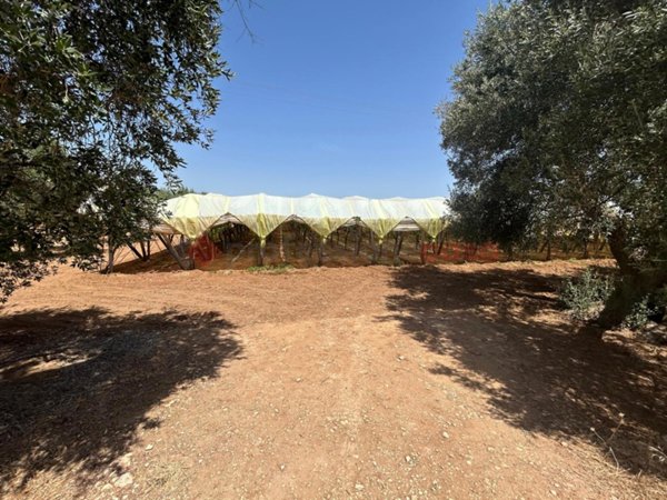 terreno agricolo in vendita a Grottaglie