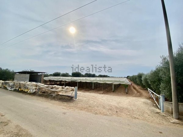 terreno agricolo in vendita a Grottaglie