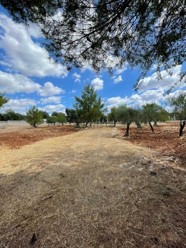 casa indipendente in vendita a Grottaglie