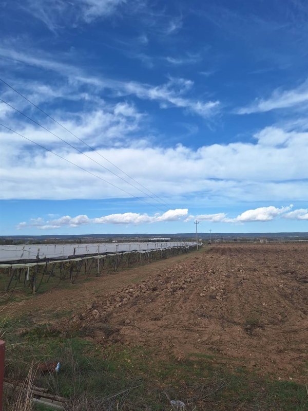terreno agricolo in vendita a Grottaglie