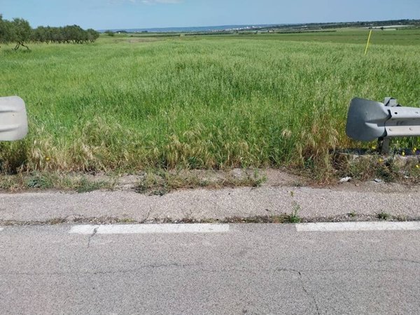terreno agricolo in vendita a Grottaglie