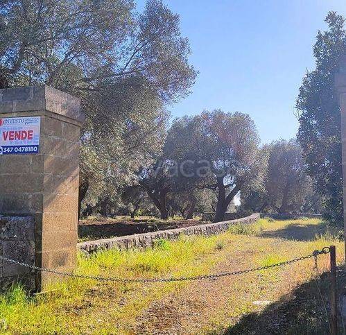 terreno agricolo in vendita a Grottaglie