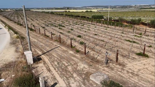 terreno agricolo in vendita a Grottaglie