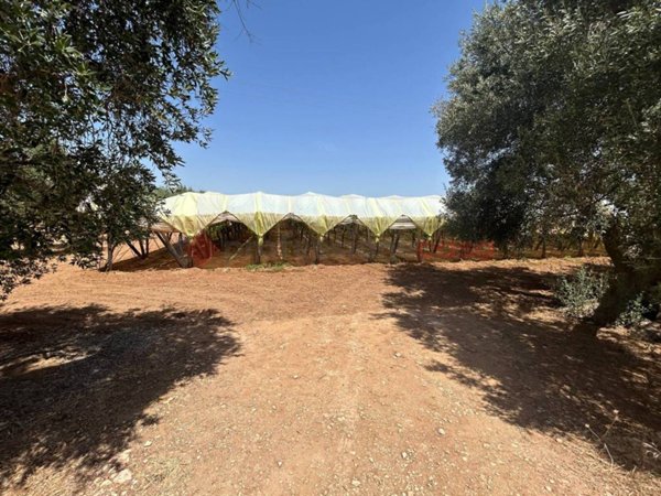 terreno agricolo in vendita a Grottaglie