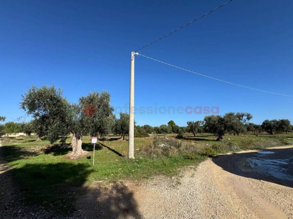 terreno agricolo in vendita a Grottaglie