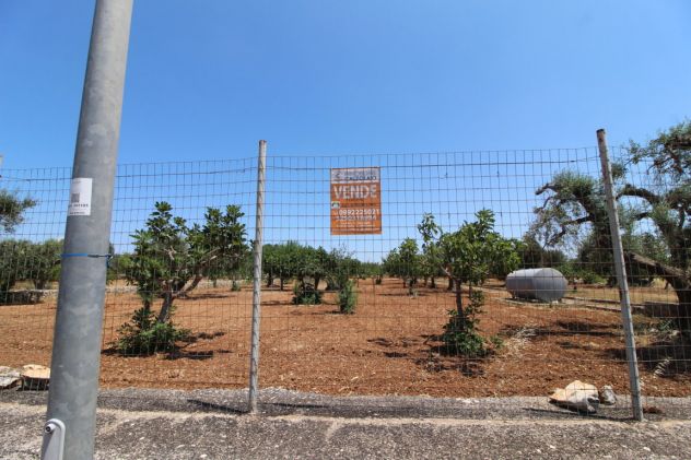 terreno agricolo in vendita a Grottaglie