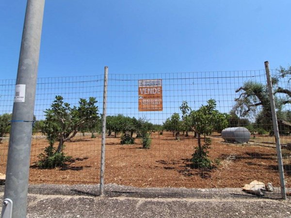 terreno agricolo in vendita a Grottaglie in zona Paparazio