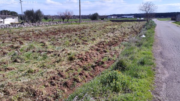terreno agricolo in vendita a Laterza
