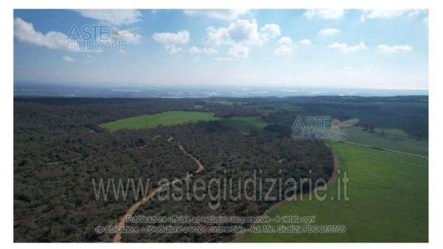 terreno agricolo in vendita a Laterza