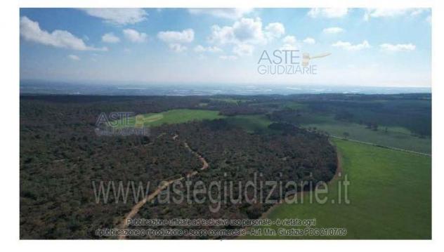 terreno agricolo in vendita a Laterza